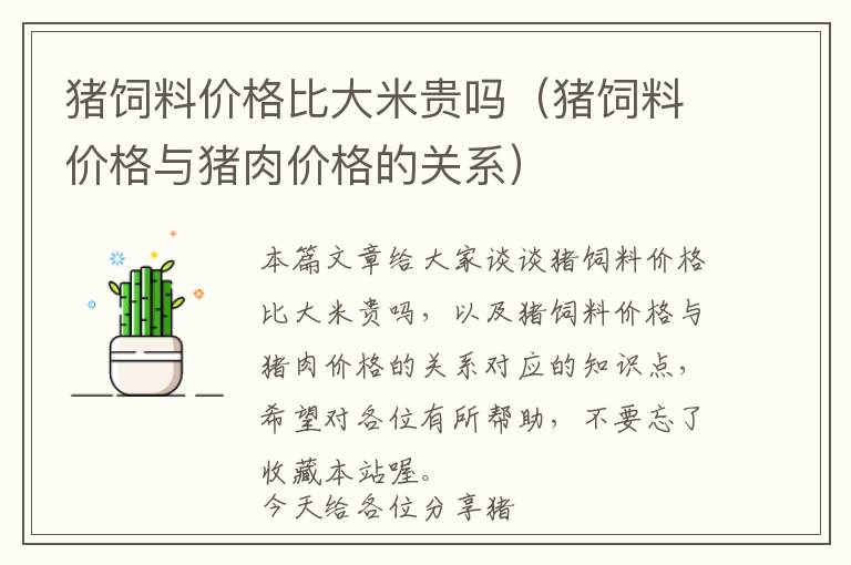 豬飼料價格比大米貴嗎(豬飼料價格與豬肉價格的關系)