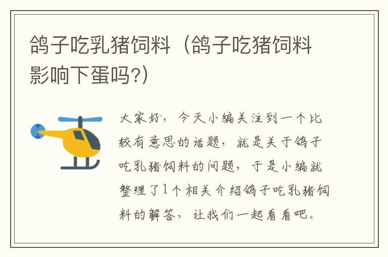 鴿子吃乳豬飼料(鴿子吃豬飼料影響下蛋嗎?)