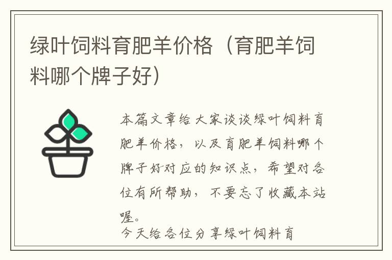 綠葉飼料育肥羊價(jià)格(育肥羊飼料哪個(gè)牌子好)