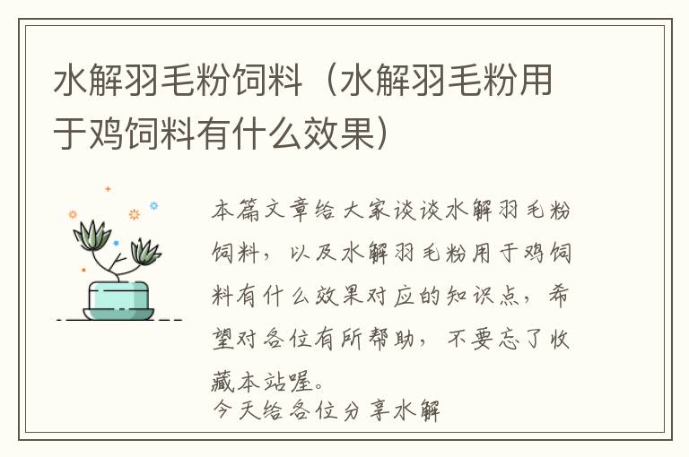 水解羽毛粉飼料(水解羽毛粉用于雞飼料有什么效果)