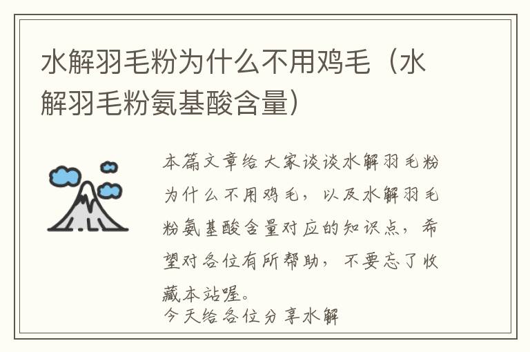 水解羽毛粉為什么不用雞毛(水解羽毛粉氨基酸含量)