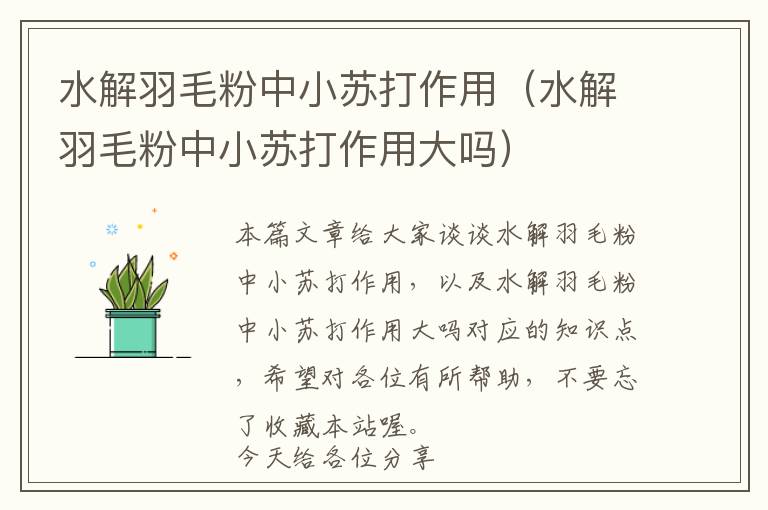 水解羽毛粉中小蘇打作用(水解羽毛粉中小蘇打作用大嗎)