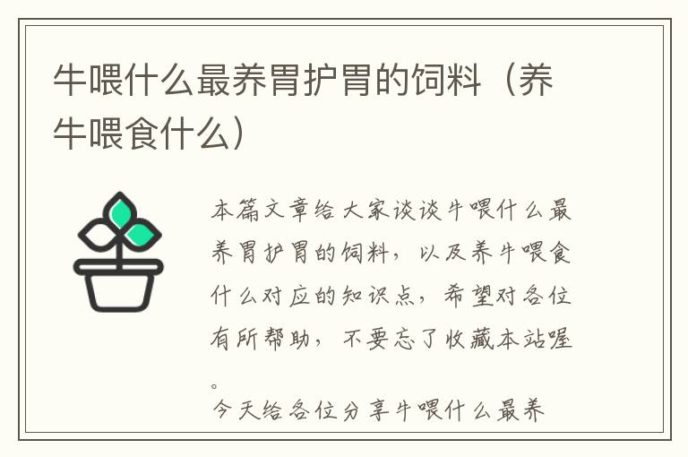 牛喂什么最養(yǎng)胃護(hù)胃的飼料（養(yǎng)牛喂食什么）