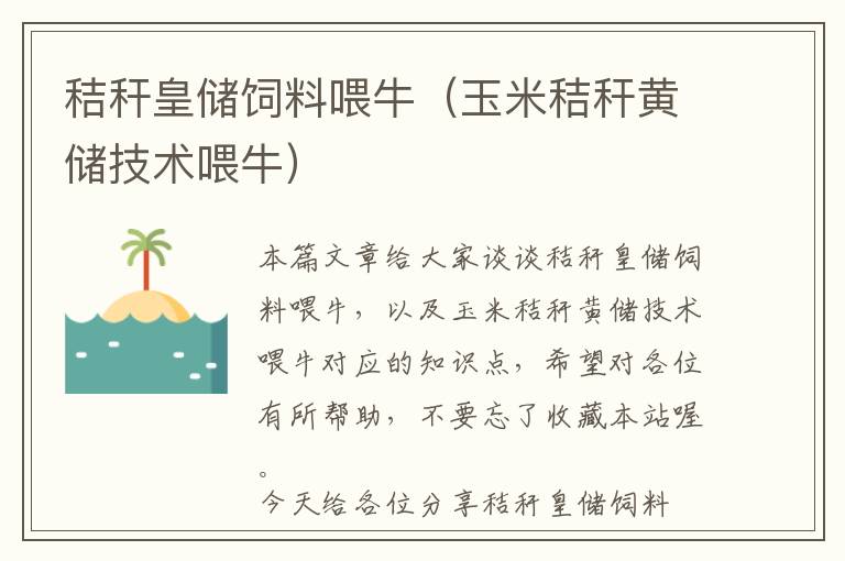 秸稈皇儲飼料喂牛（玉米秸稈黃儲技術喂牛）