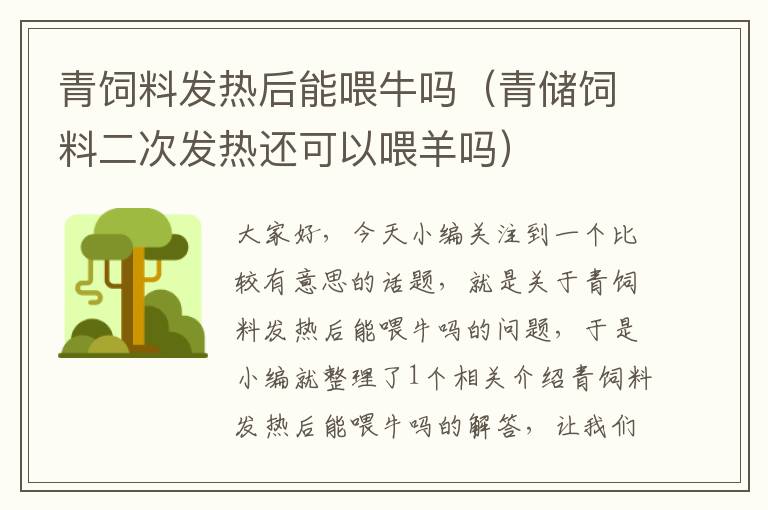 青飼料發(fā)熱后能喂牛嗎（青儲(chǔ)飼料二次發(fā)熱還可以喂羊嗎）