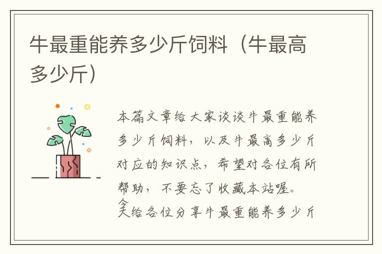 牛最重能養(yǎng)多少斤飼料(牛最高多少斤)