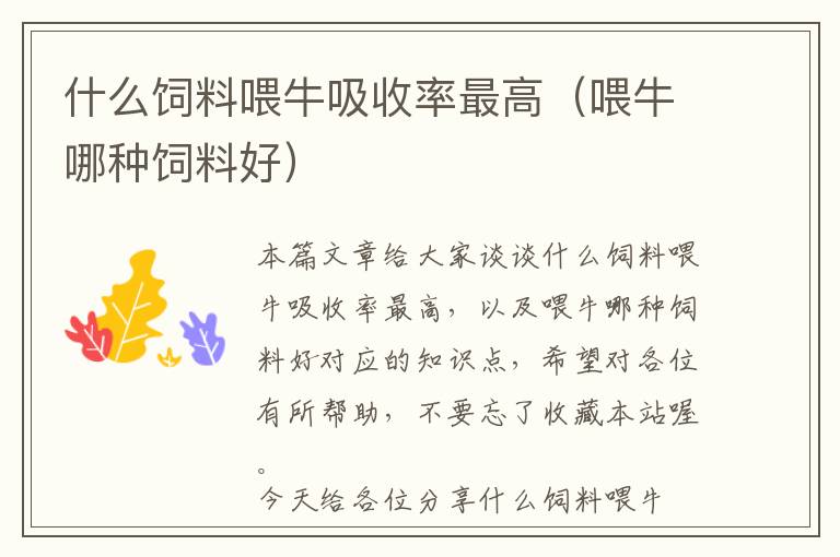 什么飼料喂牛吸收率最高(喂牛哪種飼料好)
