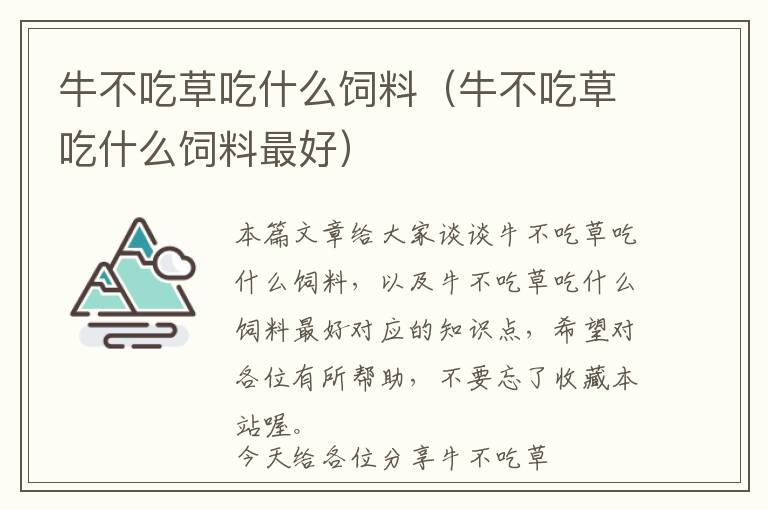 牛不吃草吃什么飼料(牛不吃草吃什么飼料最好)