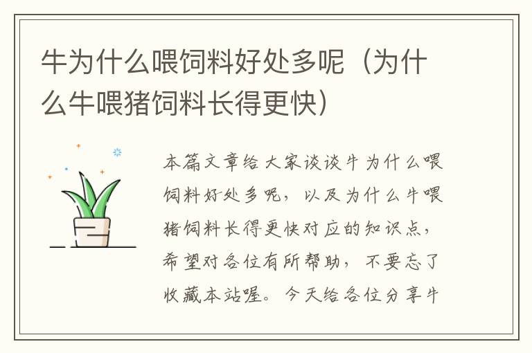 牛為什么喂飼料好處多呢(為什么牛喂豬飼料長(zhǎng)得更快)