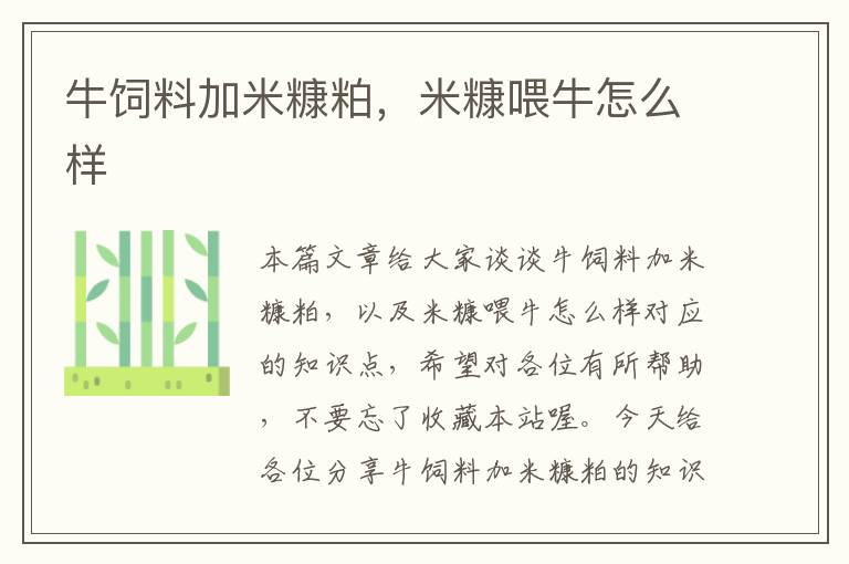 牛飼料加米糠粕,米糠喂牛怎么樣