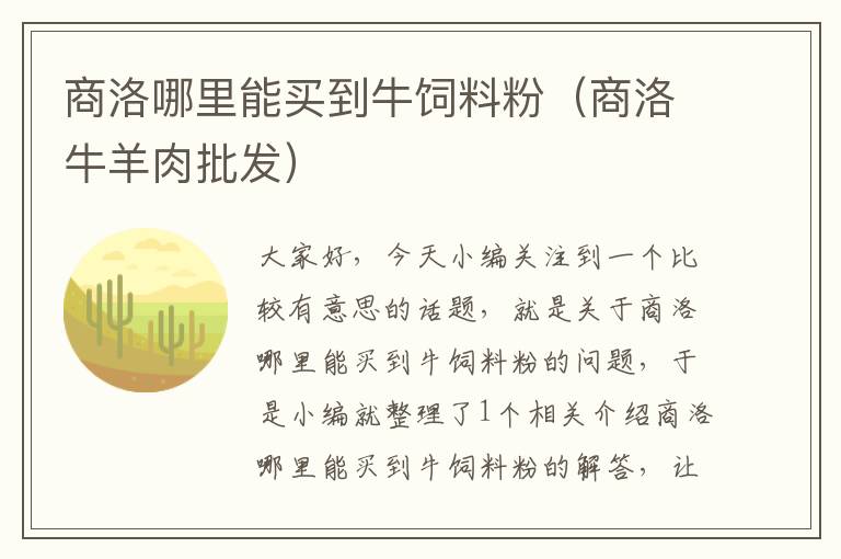 商洛哪里能買到牛飼料粉(商洛牛羊肉批發(fā))