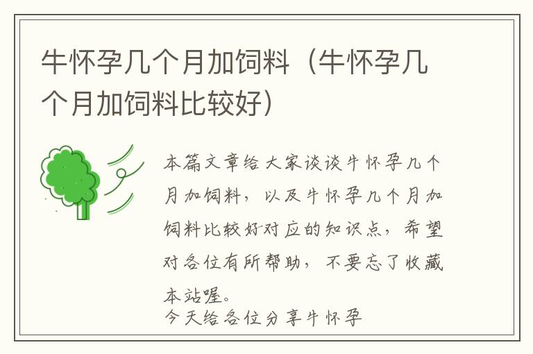 牛懷孕幾個(gè)月加飼料（牛懷孕幾個(gè)月加飼料比較好）