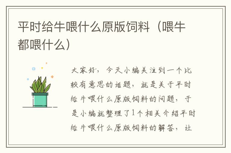 平時(shí)給牛喂什么原版飼料(喂牛都喂什么)