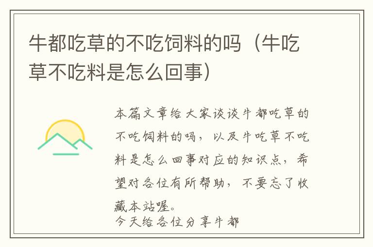 牛都吃草的不吃飼料的嗎(牛吃草不吃料是怎么回事)