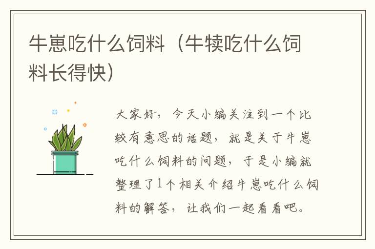 牛崽吃什么飼料（牛犢吃什么飼料長得快）