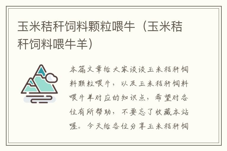 玉米秸稈飼料顆粒喂牛(玉米秸稈飼料喂牛羊)