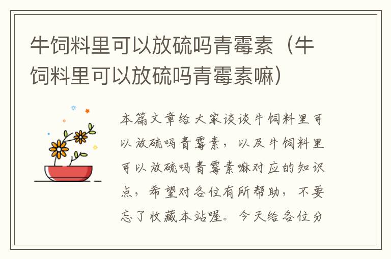 牛飼料里可以放硫嗎青霉素（牛飼料里可以放硫嗎青霉素嘛）