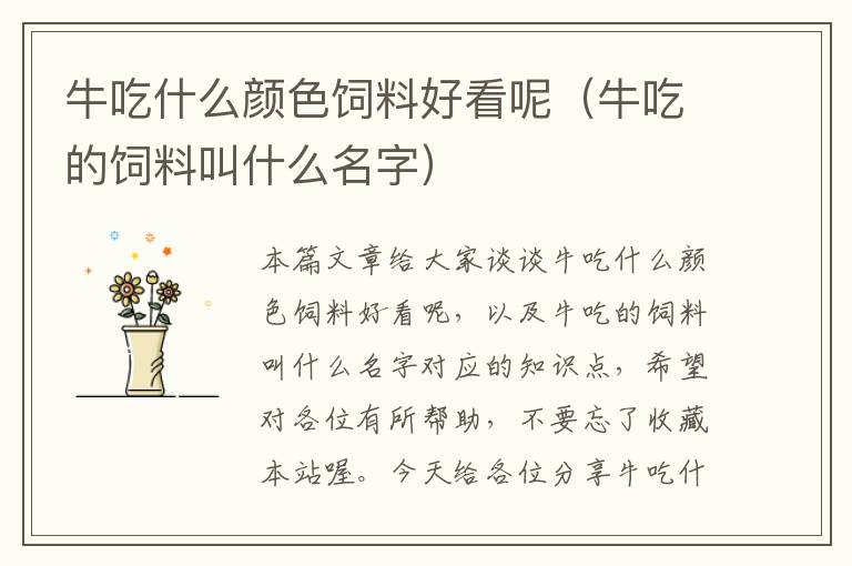 牛吃什么顏色飼料好看呢(牛吃的飼料叫什么名字)