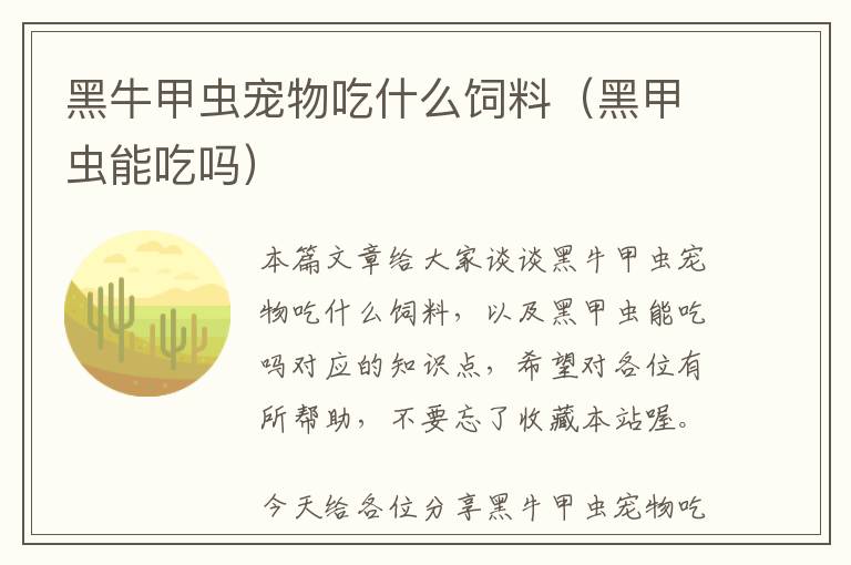 黑牛甲蟲寵物吃什么飼料(黑甲蟲能吃嗎)