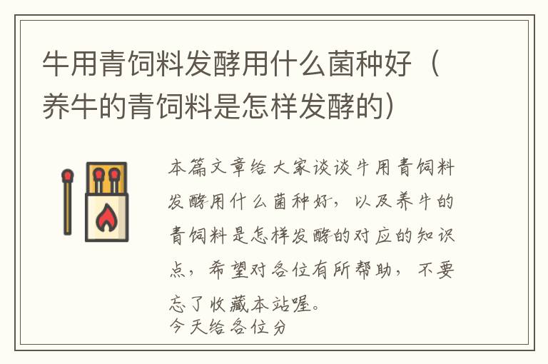 牛用青飼料發(fā)酵用什么菌種好(養(yǎng)牛的青飼料是怎樣發(fā)酵的)