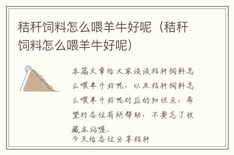 秸稈飼料怎么喂羊牛好呢(秸稈飼料怎么喂羊牛好呢)