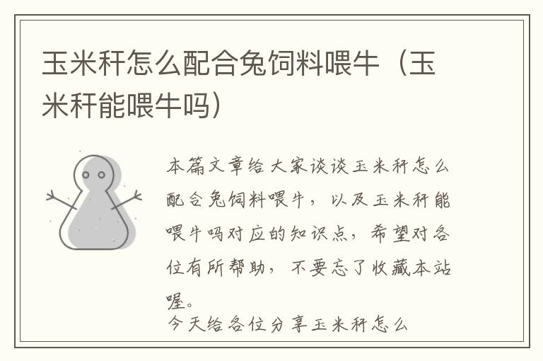 玉米稈怎么配合兔飼料喂牛(玉米稈能喂牛嗎)