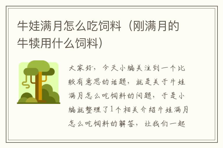 牛娃滿月怎么吃飼料(剛滿月的牛犢用什么飼料)