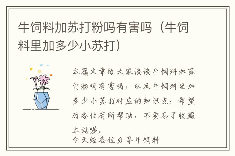 牛飼料加蘇打粉嗎有害嗎（牛飼料里加多少小蘇打）