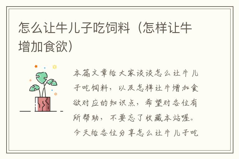 怎么讓牛兒子吃飼料（怎樣讓牛增加食欲）