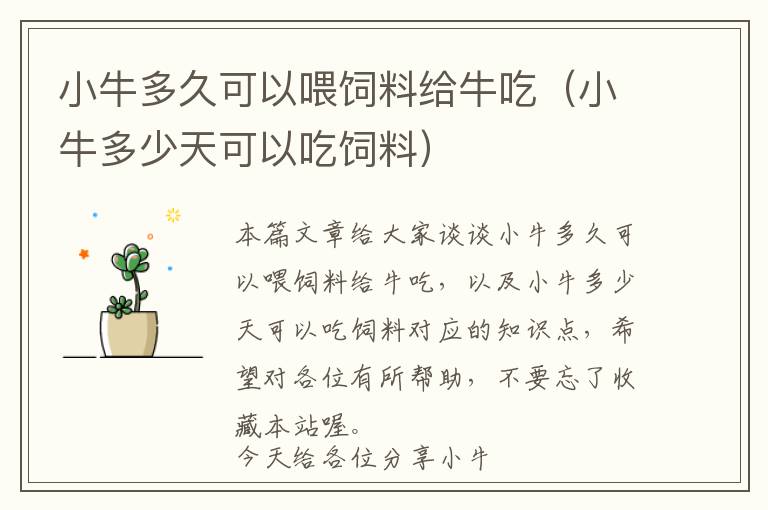 小牛多久可以喂飼料給牛吃(小牛多少天可以吃飼料)