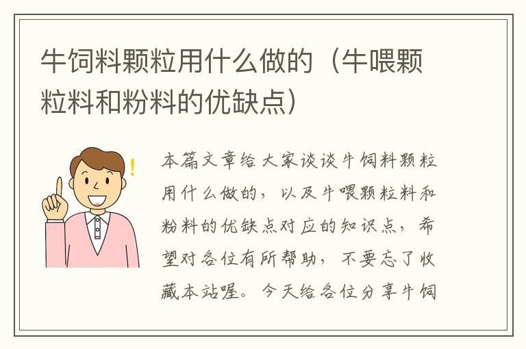 牛飼料顆粒用什么做的(牛喂顆粒料和粉料的優(yōu)缺點(diǎn))