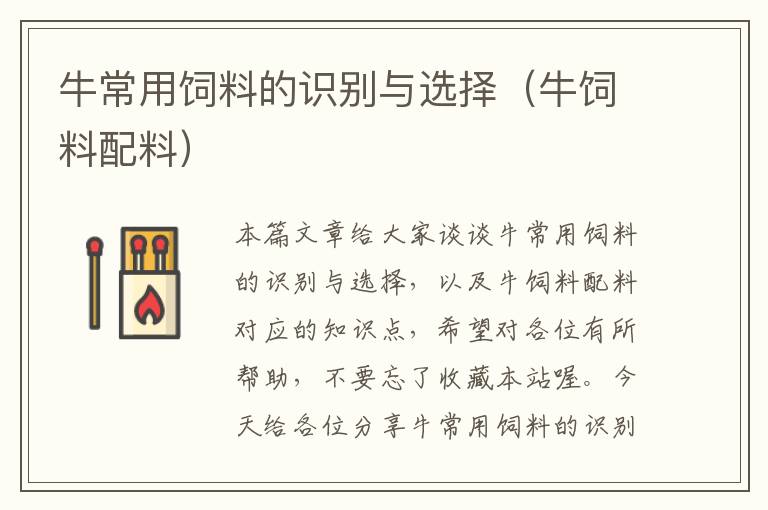 牛常用飼料的識(shí)別與選擇(牛飼料配料)