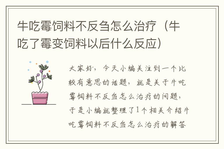 牛吃霉飼料不反芻怎么治療（牛吃了霉變飼料以后什么反應(yīng)）