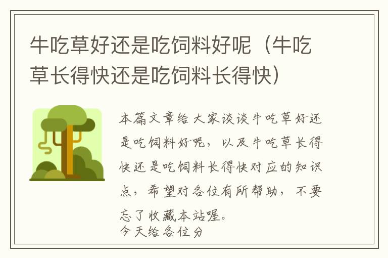 牛吃草好還是吃飼料好呢（牛吃草長(zhǎng)得快還是吃飼料長(zhǎng)得快）