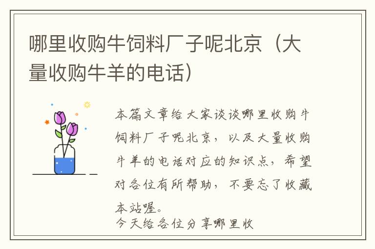 哪里收購牛飼料廠子呢北京(大量收購牛羊的電話)