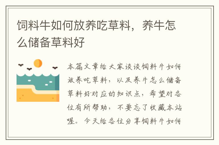 飼料牛如何放養(yǎng)吃草料，養(yǎng)牛怎么儲備草料好