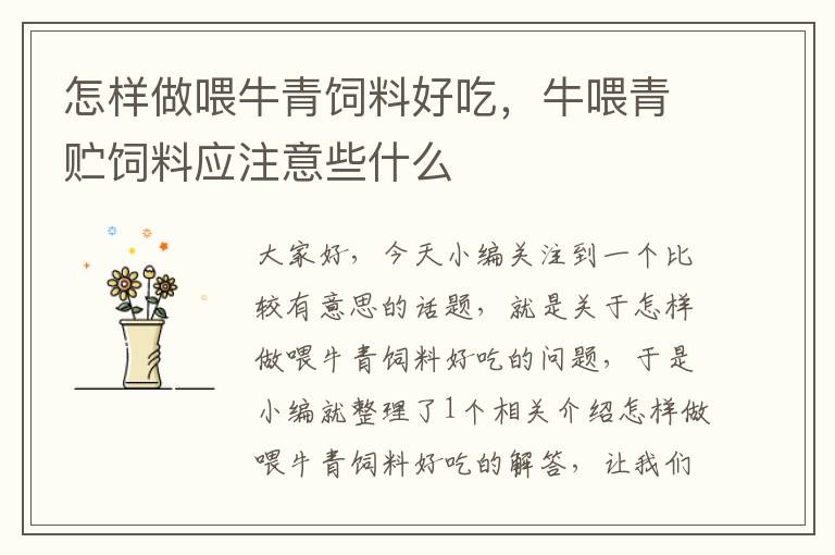 怎樣做喂牛青飼料好吃,牛喂青貯飼料應注意些什么