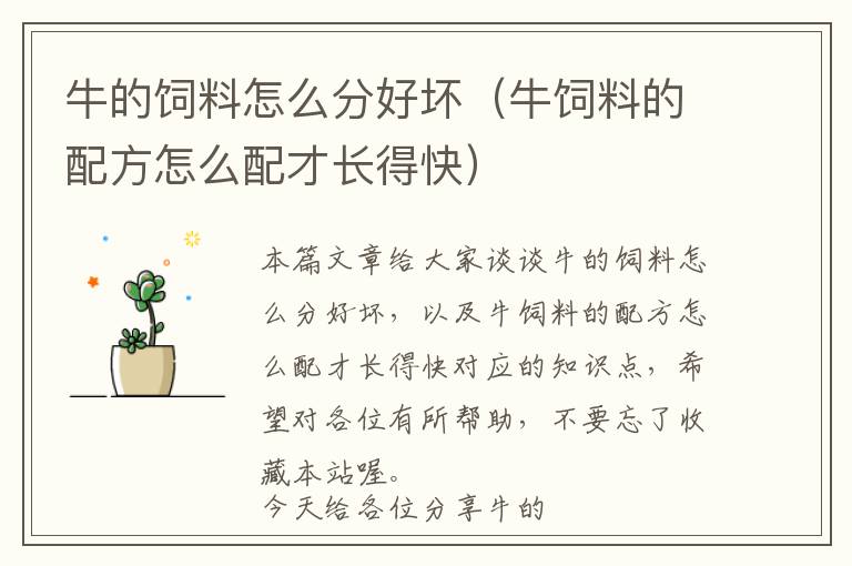 牛的飼料怎么分好壞（牛飼料的配方怎么配才長(zhǎng)得快）