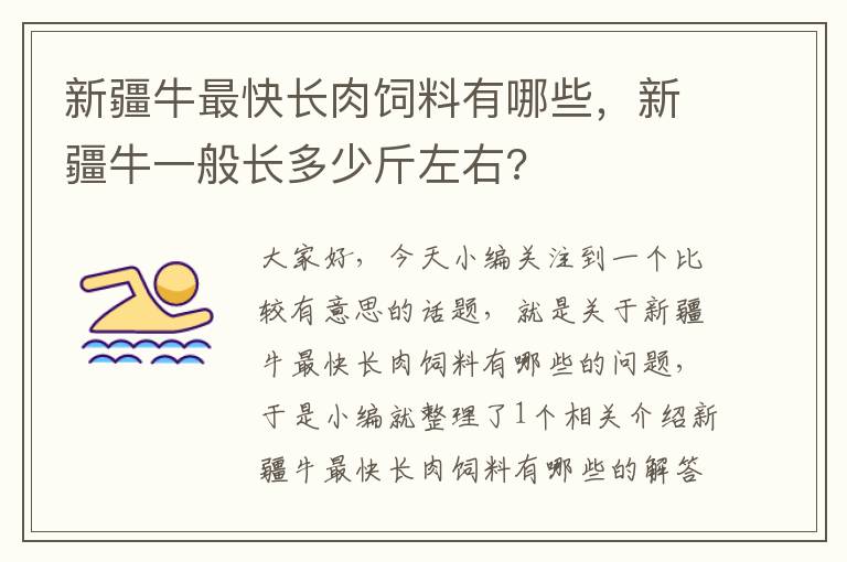 新疆牛最快長(zhǎng)肉飼料有哪些,新疆牛一般長(zhǎng)多少斤左右?