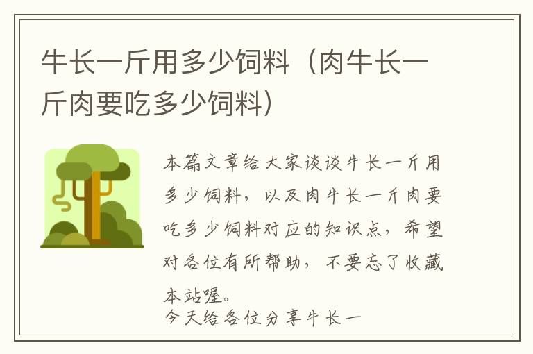 牛長(zhǎng)一斤用多少飼料(肉牛長(zhǎng)一斤肉要吃多少飼料)