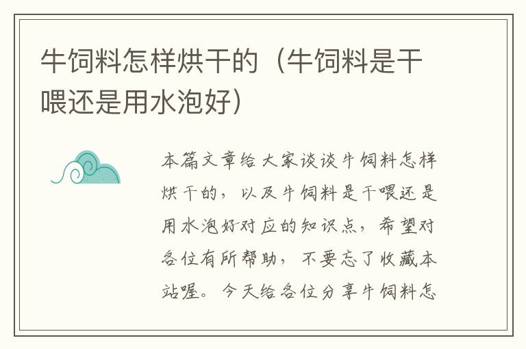 牛飼料怎樣烘干的(牛飼料是干喂還是用水泡好)