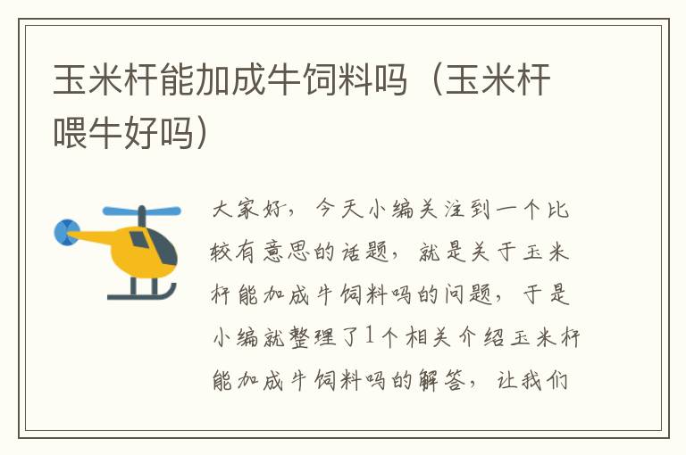 玉米桿能加成牛飼料嗎(玉米桿喂牛好嗎)