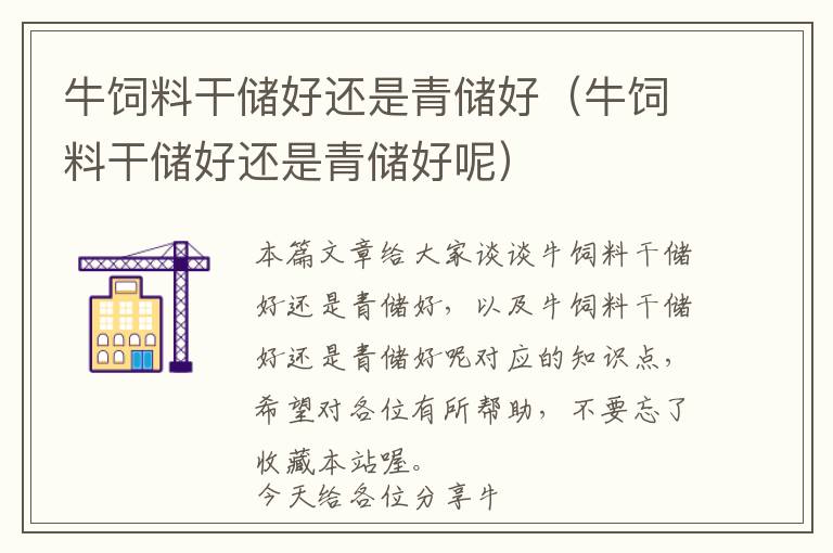 牛飼料干儲(chǔ)好還是青儲(chǔ)好（牛飼料干儲(chǔ)好還是青儲(chǔ)好呢）