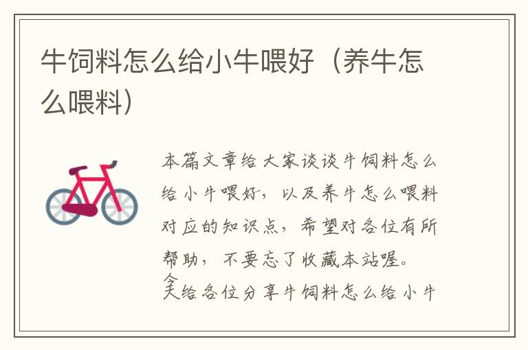 牛飼料怎么給小牛喂好(養(yǎng)牛怎么喂料)