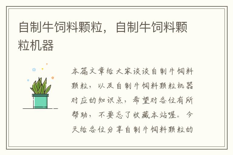 自制牛飼料顆粒,自制牛飼料顆粒機(jī)器