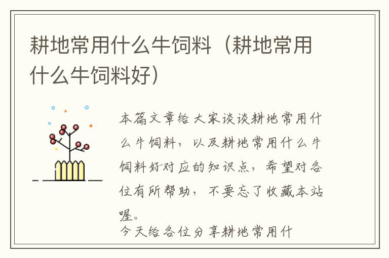 耕地常用什么牛飼料（耕地常用什么牛飼料好）