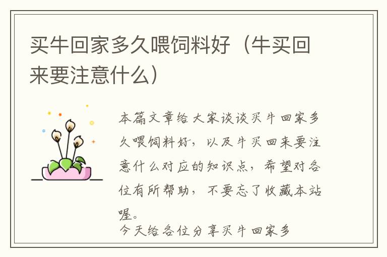 買?；丶叶嗑梦癸暳虾茫ㄅＹI回來要注意什么）