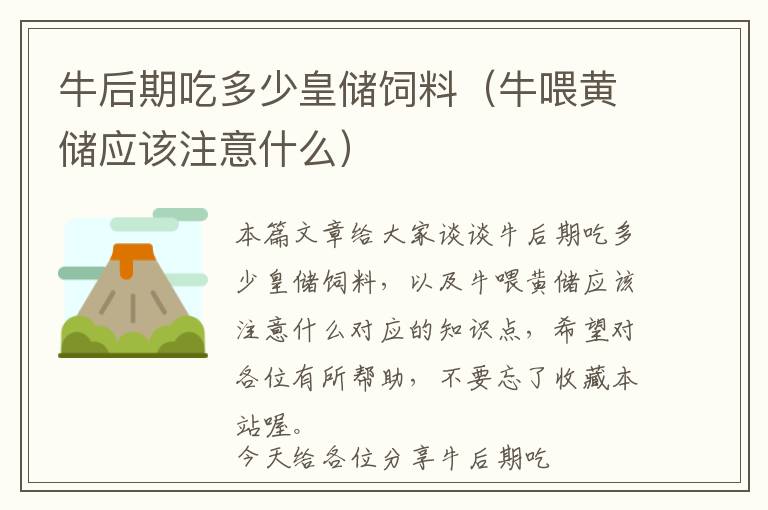 牛后期吃多少皇儲飼料(牛喂黃儲應(yīng)該注意什么)