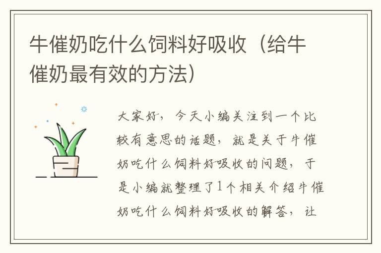 牛催奶吃什么飼料好吸收(給牛催奶最有效的方法)