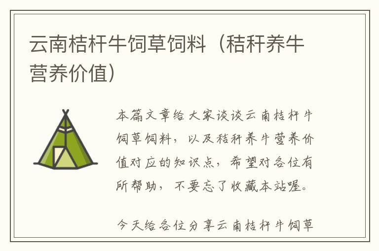 云南桔桿牛飼草飼料（秸稈養(yǎng)牛營養(yǎng)價值）